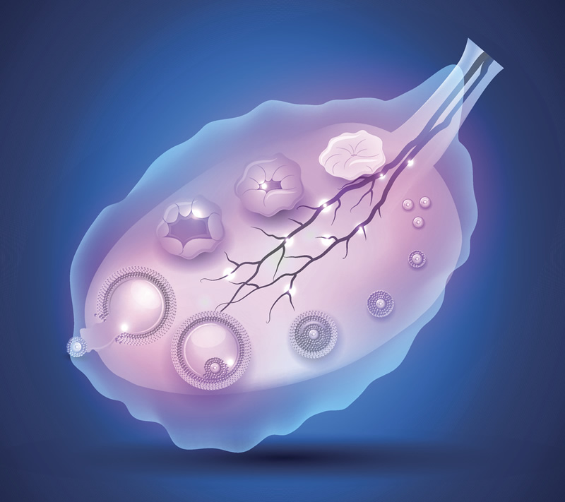 贵州可以做试管三代机构排名一览 贵州有多少家做试管